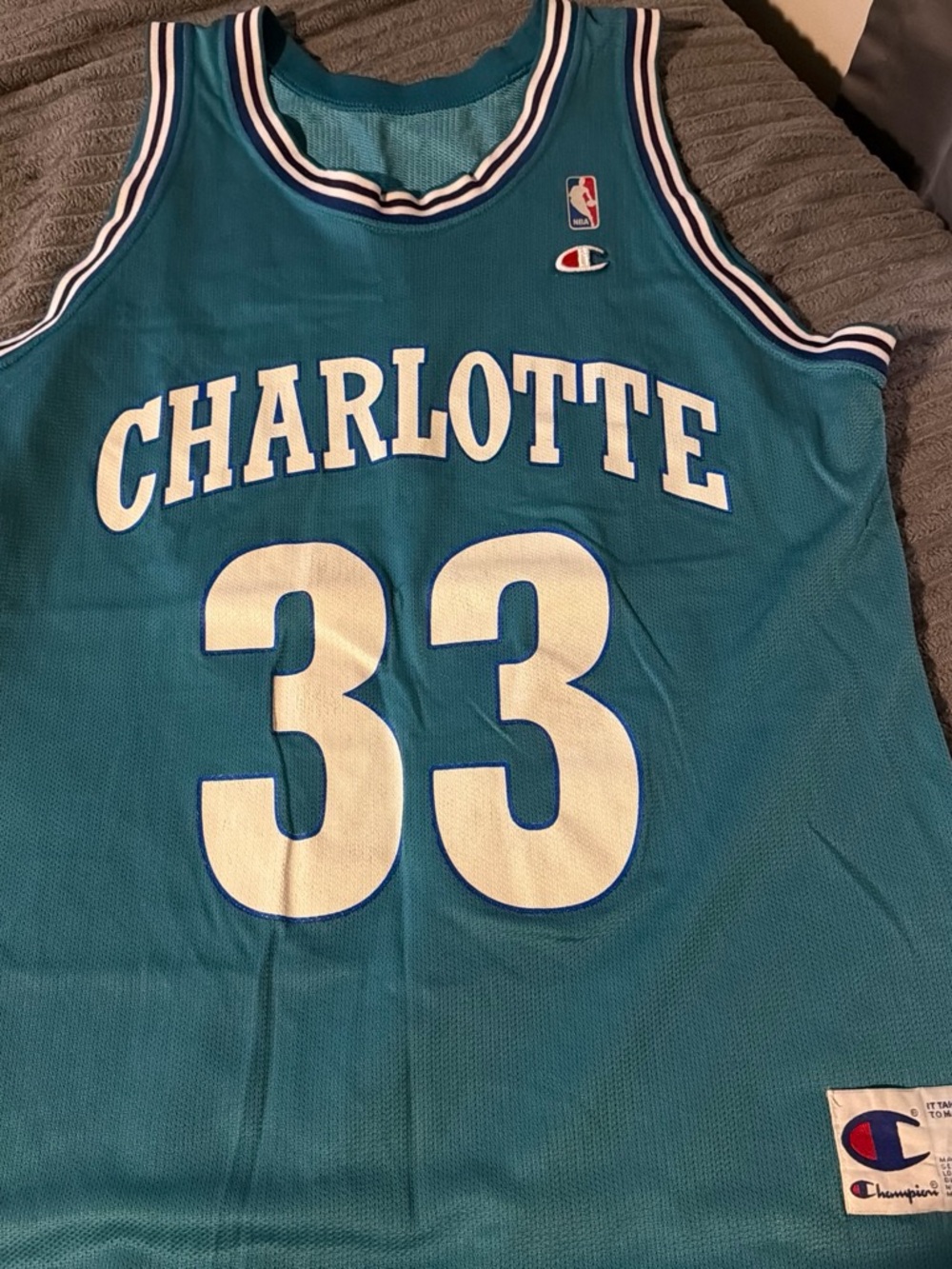 Champion Teal Charlotte #33 Basketball Jersey with White Accents